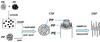 schematic illustration of CNF process